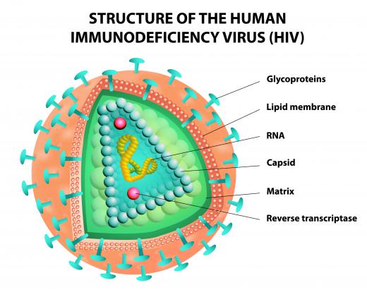 ELISA testing is commonly used to test for signs of HIV exposure.