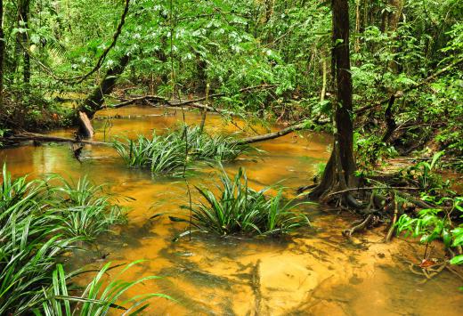 Polluted groundwater can reach wetlands.