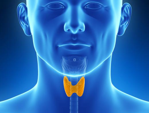 Thyroid peroxidase releases iodine from nutrients to form essential thyroid hormones.