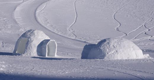 Survivors of the Transantarctic expedition made igloos to use use as shelter.