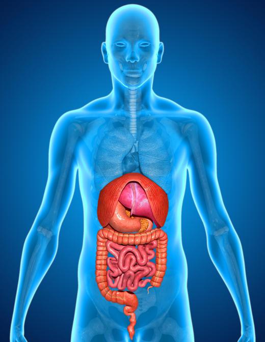 Organ failure may occur as a result of hypocalcemia.