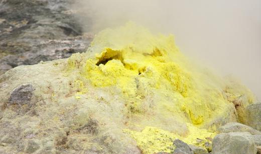 Archaea are capable of surviving in extreme environments, like volcano vents.