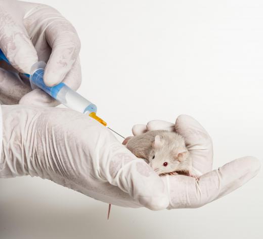 A Draize test can describe testing drugs on animals before their are approved for humans.