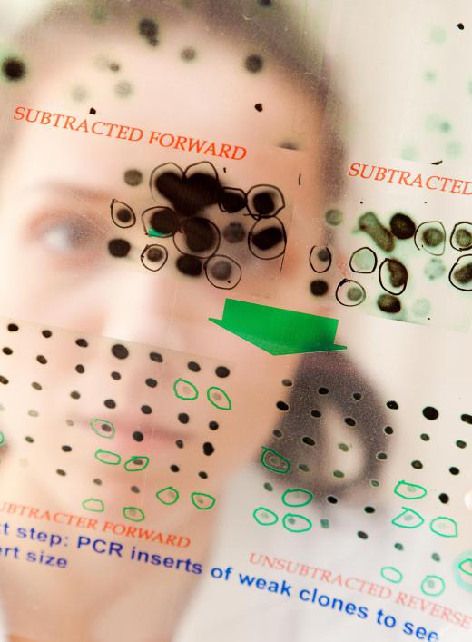 DNA test sites must be free of contamination that might ruin test results.